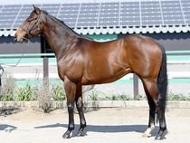 ����å��ǳ��������ɽ�����ޤ�