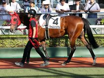 ����å��ǳ��������ɽ�����ޤ�