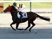 ����å��ǳ��������ɽ�����ޤ�