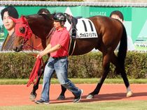 ����å��ǳ��������ɽ�����ޤ�