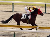 ����å��ǳ��������ɽ�����ޤ�