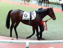 ����å��ǳ��������ɽ�����ޤ�