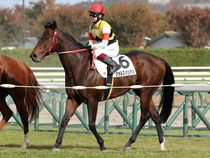 ����å��ǳ��������ɽ�����ޤ�