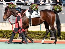 ����å��ǳ��������ɽ�����ޤ�