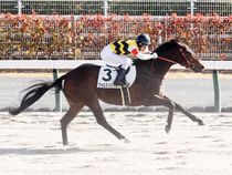 ����å��ǳ��������ɽ�����ޤ�