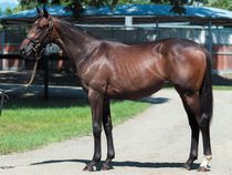 ����å��ǳ��������ɽ�����ޤ�