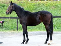 ����å��ǳ��������ɽ�����ޤ�