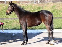 ����å��ǳ��������ɽ�����ޤ�