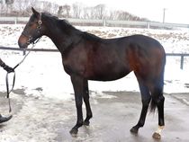 ����å��ǳ��������ɽ�����ޤ�