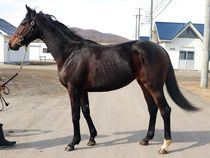 ����å��ǳ��������ɽ�����ޤ�