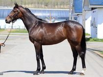 ����å��ǳ��������ɽ�����ޤ�