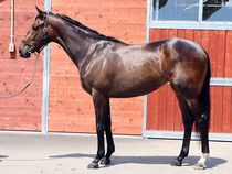 ����å��ǳ��������ɽ�����ޤ�