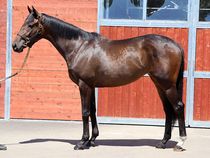 ����å��ǳ��������ɽ�����ޤ�