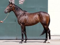 ����å��ǳ��������ɽ�����ޤ�