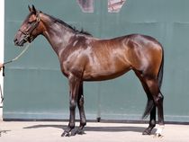 ����å��ǳ��������ɽ�����ޤ�