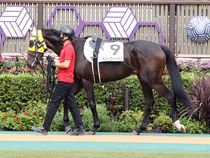 ����å��ǳ��������ɽ�����ޤ�