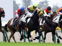 ����å��ǳ��������ɽ�����ޤ�