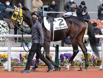 ����å��ǳ��������ɽ�����ޤ�