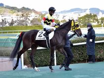 ����å��ǳ��������ɽ�����ޤ�