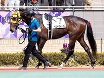 ����å��ǳ��������ɽ�����ޤ�