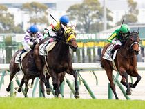 ����å��ǳ��������ɽ�����ޤ�