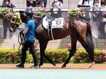 ����å��ǳ��������ɽ�����ޤ�