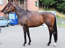 ����å��ǳ��������ɽ�����ޤ�