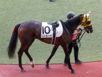 ����å��ǳ��������ɽ�����ޤ�