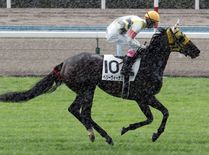 ����å��ǳ��������ɽ�����ޤ�