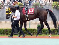 ����å��ǳ��������ɽ�����ޤ�