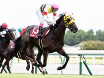 ����å��ǳ��������ɽ�����ޤ�