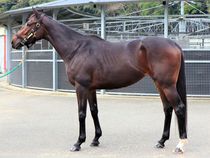 ����å��ǳ��������ɽ�����ޤ�