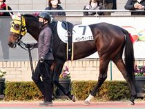 ����å��ǳ��������ɽ�����ޤ�