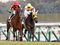 ����å��ǳ��������ɽ�����ޤ�