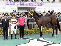 ����å��ǳ��������ɽ�����ޤ�