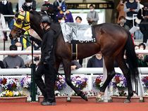 ����å��ǳ��������ɽ�����ޤ�