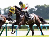 ����å��ǳ��������ɽ�����ޤ�