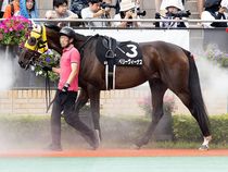 ����å��ǳ��������ɽ�����ޤ�