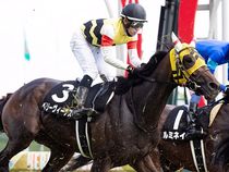 ����å��ǳ��������ɽ�����ޤ�