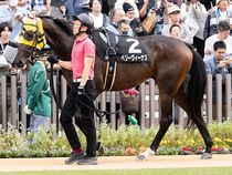 ����å��ǳ��������ɽ�����ޤ�