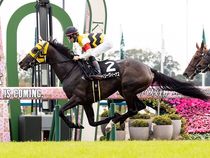 ����å��ǳ��������ɽ�����ޤ�