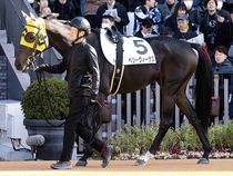 ����å��ǳ��������ɽ�����ޤ�