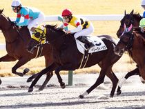 ����å��ǳ��������ɽ�����ޤ�