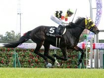 ����å��ǳ��������ɽ�����ޤ�