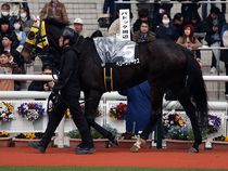 ����å��ǳ��������ɽ�����ޤ�