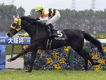 ����å��ǳ��������ɽ�����ޤ�