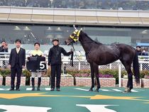 ����å��ǳ��������ɽ�����ޤ�