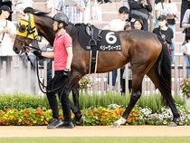 ����å��ǳ��������ɽ�����ޤ�