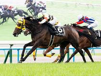 ����å��ǳ��������ɽ�����ޤ�