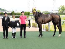 ����å��ǳ��������ɽ�����ޤ�